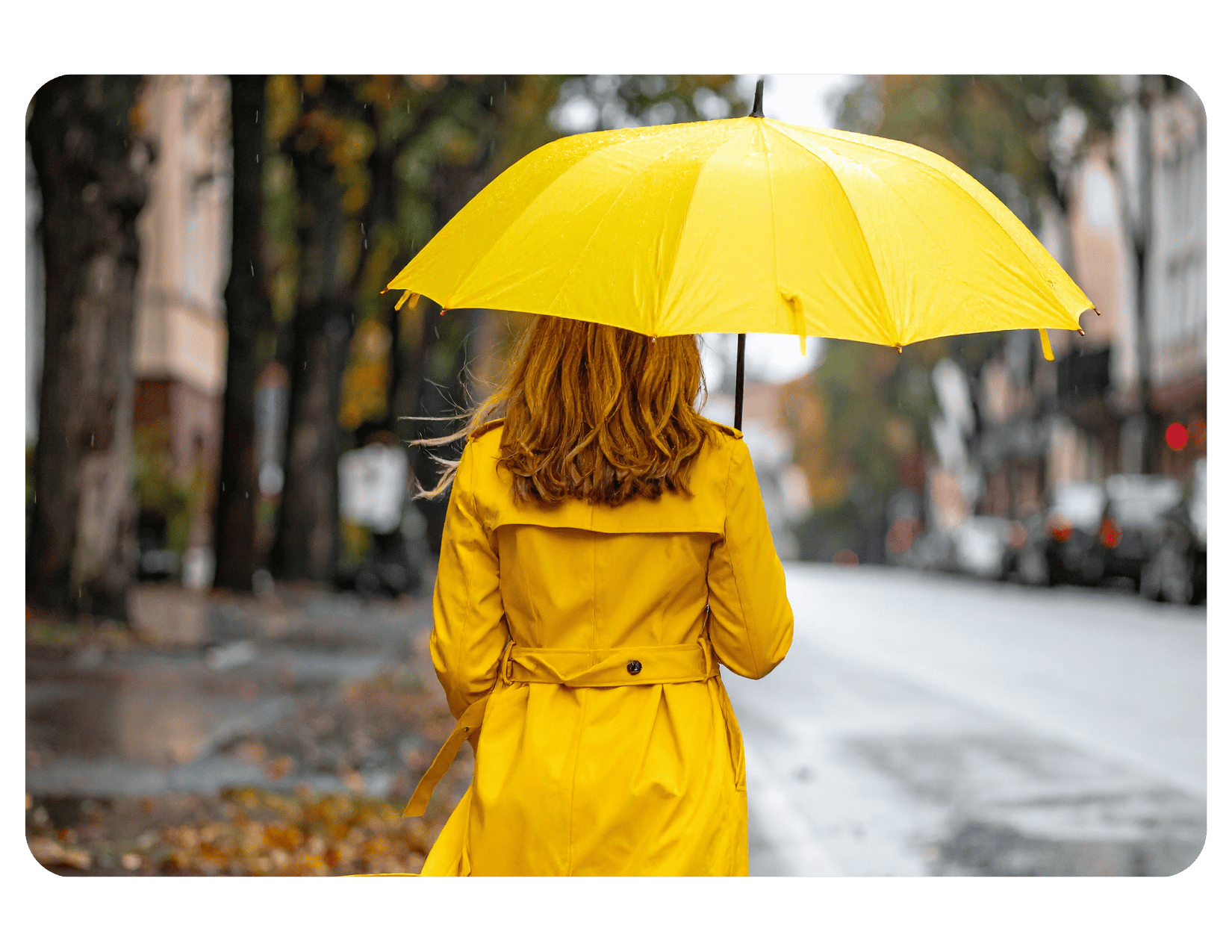 Umbrella Insurance